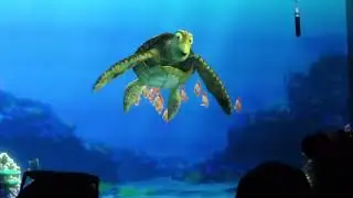 Turtle Talk with Crush show 2024