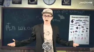 Джарахов, Поперечный и Smoke Weed Every Day