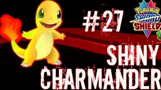 I hatched a Live Shiny Charmander after 2329 Eggs! Pokemon Sword/Shield