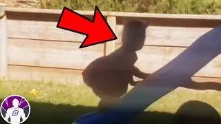 10 Videos That Captured Glitches In Reality