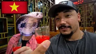 Drinking Cobra Blood!! 🇻🇳