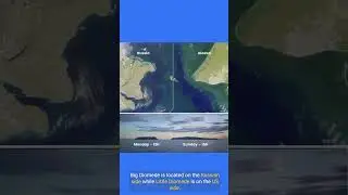 Tomorrow island #youtubeshorts #shorts #shortvideo #fyp #nature  #facts