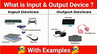 What is Input and Output Device | Difference between Input Device and Output Device | With Examples