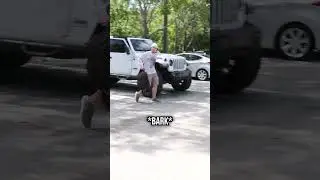 Thief Takes a Bite From a German Shepherd