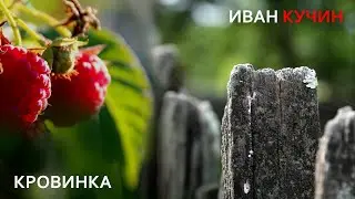 Иван Кучин - Кровинка