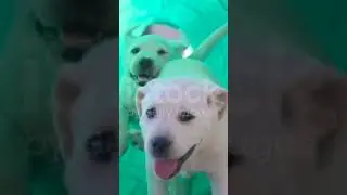 😘😘😘😄