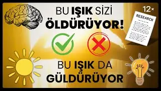 Güneş Işığının Faydaları: Sarı ışık mı Beyaz ışık mı? Kelvin nedir? Hangi Işık Daha Sağlıklı?
