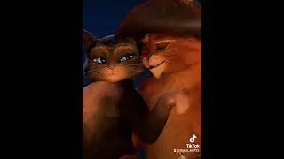 [ || Kitty x Puss || ]