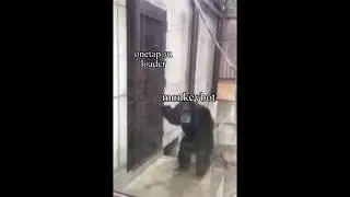 onetap.su cracked in mere SECONDS by monkeybot coders
