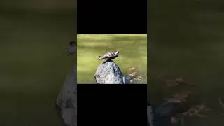 전투기