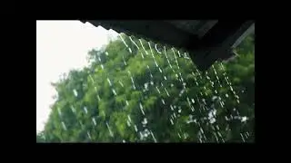 1 Hour  Of Relaxing Forest Rain Sounds
