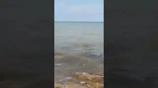🌤️Доброе утро!🌊#утро#моресегодня#онлайн#осень#волна#восходсолнца#шумприбоя#шумморя#звукиморя #море