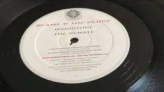 Blame & The Pedge - The Senate