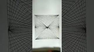 Speed Drawing Optical Illusion