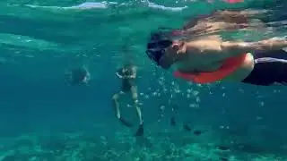 🌴 Discover the Best of Cancun with What to Do in Cancun! 🌴