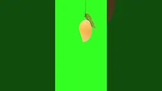 Green Screen Mango 🥭 on YouTube TIK TOK Video Viral video