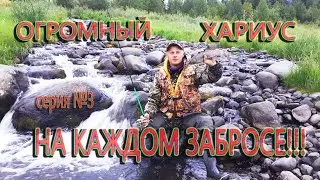 Fishing on the Severnaya River!!! HUGE GRAYLING ON EVERY CAST!!! Episode 3