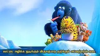 காட்டை அழிக்க துடிக்கும் மிருகத்தை தடுக்கும் அவேஞ்சர்ஸ் படை | Film Feathers | Movie Story in Tamil