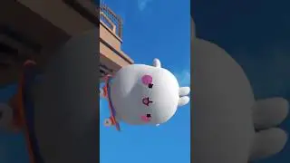 Molang’s Summer Sports #1: Skateboarding 🛹