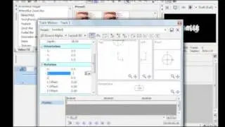 Sony Vegas : How To use 