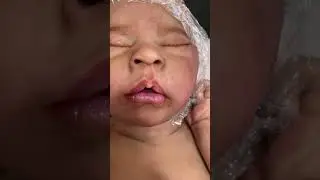 Box packing video & saying Goodbye to beautiful baby Zuma