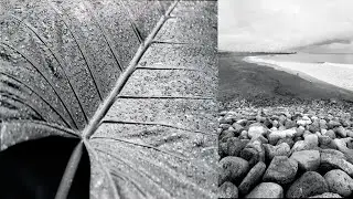 🧐 A DISCUSSION & DEVELOPEMENT PROCESS - FUJIFILM NEOPAN ACROS ii  100 REVIEW | PHOTOGRAPHY VIDEO