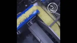 КАРТОШКА ФРИ ИШЛАБ ЧИҚАРИШ УСКУНАСИ.⠀