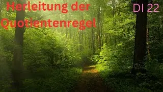 Herleitung der Quotientenregel (DI 22)