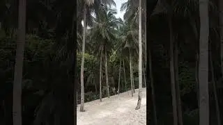 EL NIDO PALAWAN