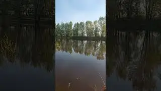 с добрый утром, так нас встречают на реке))))