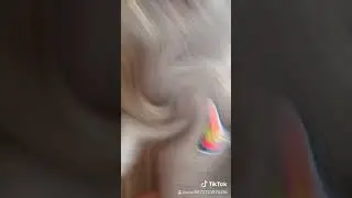 24 июня 2019 г.