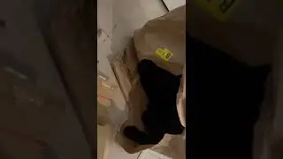 Упаковался😂🐈‍⬛👍
