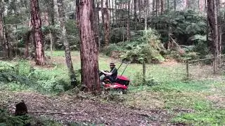 ATEX Mower