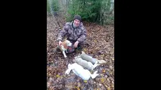 Удачный выход . 04 11 22
