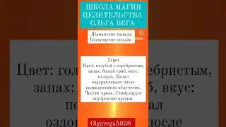 Дерет Шаманские каналы Посвящение онлайн