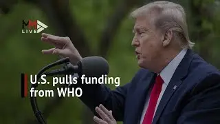 Trump to halt  World Health Organisation funding over handling of coronavirus