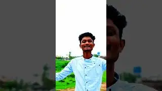 पाखरा तुला आझद केल तुला 