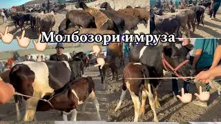 Дар Молбозори имруза чи гап шуд? Шанбебозори Фархор,  21 июля 2024 г.