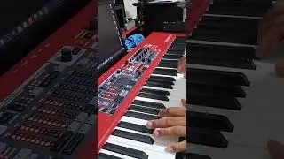 Nord Electro 6hp  piano hammond