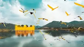 Индия ‹ Джайпур (Розовый город) . 2