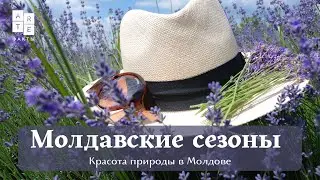 МОЛДАВСКИЕ СЕЗОНЫ: красота природы в Молдове