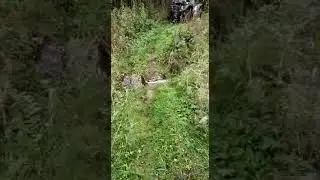 Охотно в Новгородской обл . сентябрь 2020