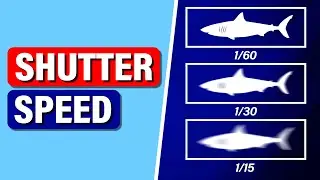 How to Choose the Right SHUTTER SPEED for UNDERWATER Video?
