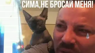 @СЕРГЕЙ СИМОНОВ/ТОЛЬКО НЕ БРОСАЙ МЕНЯ!/ТОП-МОМЕНТ С КОТОМ/СЛИЯНИЕ ДВУХ СЕРДЕЦ/ЭПИЧНЫЙ ДОН СИМОН/ЧАТ+