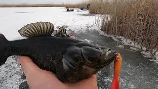 Winter fishing. Rotan fishing. Trophy hunting.