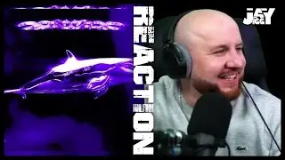 absent - ORCA FREESTYLE | REACTION