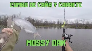 MOSSY OAK ROD AND REEL COMBO ,/,,/