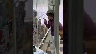 Рабочий день фармацевта ВИДЕО 5