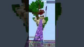 Amethyst Blocks in Hive Skywars ??