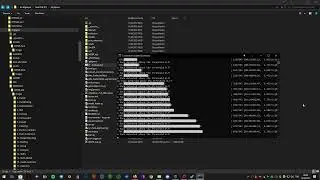 Fastest Aligned Face Extraction Ever!  World Record!(Link In Description)